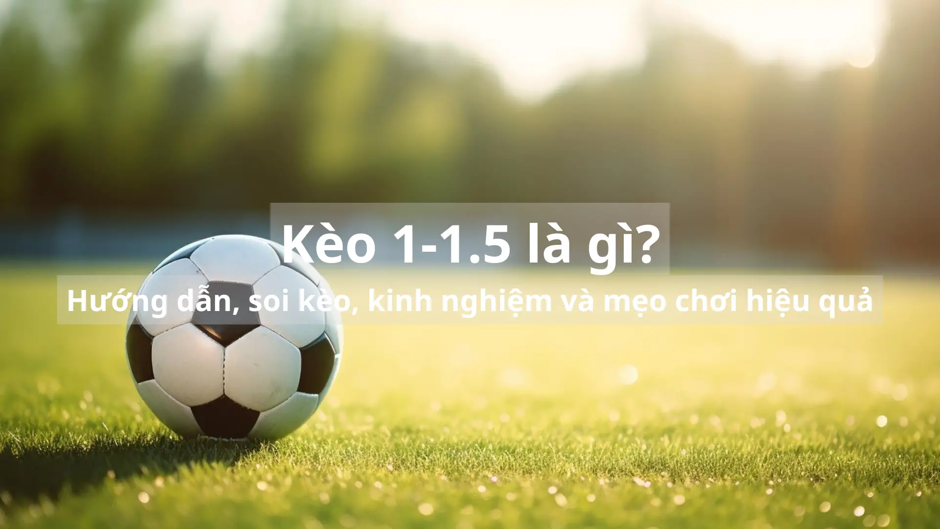 Kèo 1-1.5 là gì? Hướng dẫn, soi kèo, kinh nghiệm và mẹo chơi hiệu quả