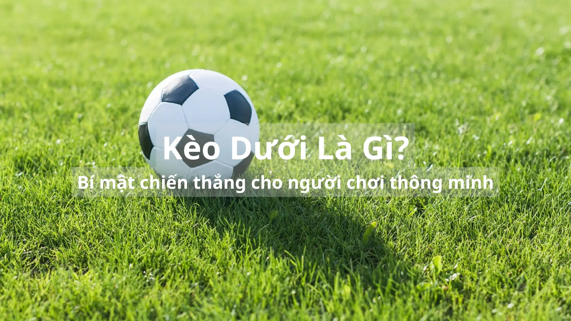 Kèo Dưới Là Gì? Bí mật chiến thắng cho người chơi thông minh