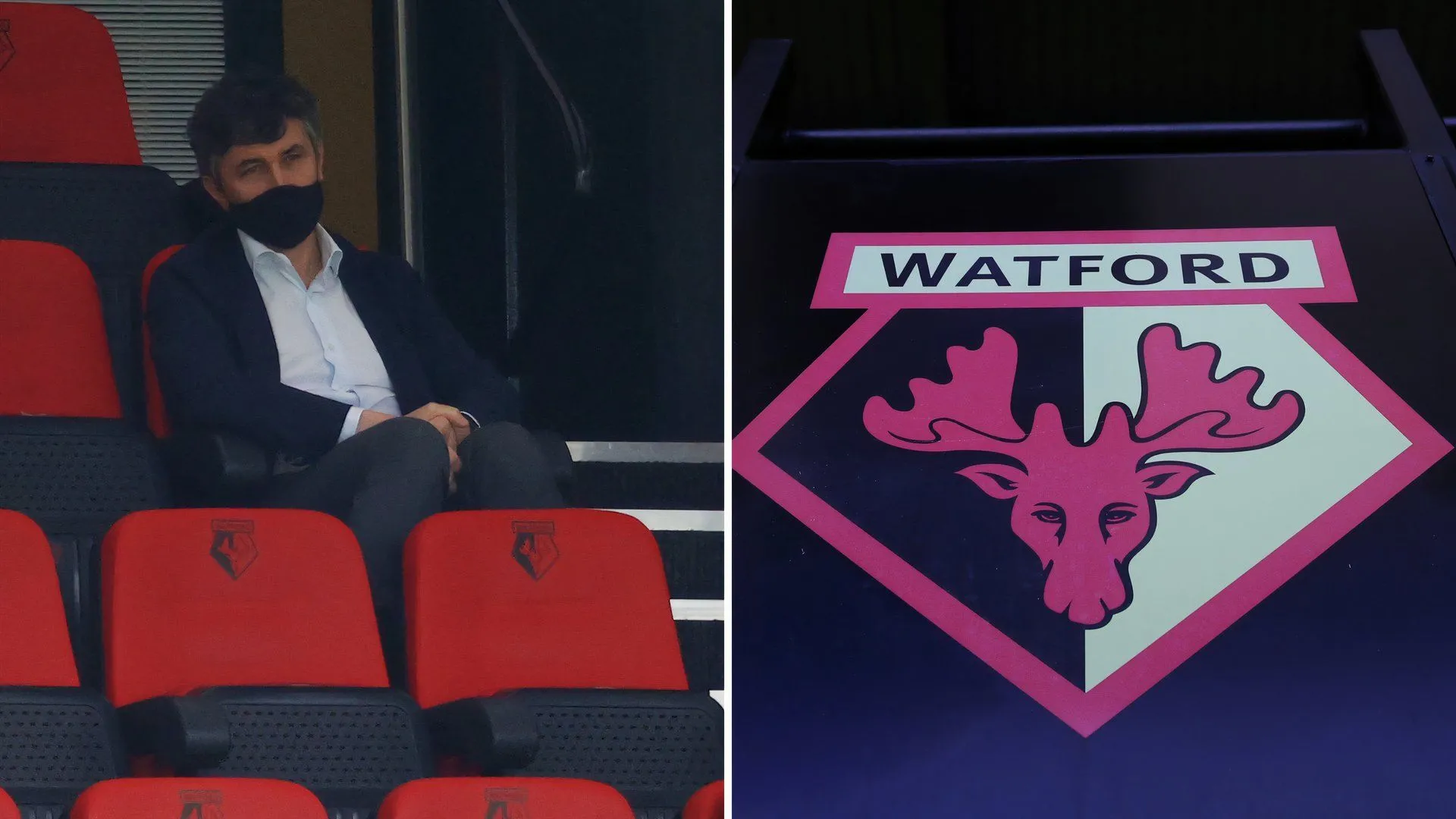Ông bầu Gino Pozzo, chủ sở hữu câu lạc bộ Watford