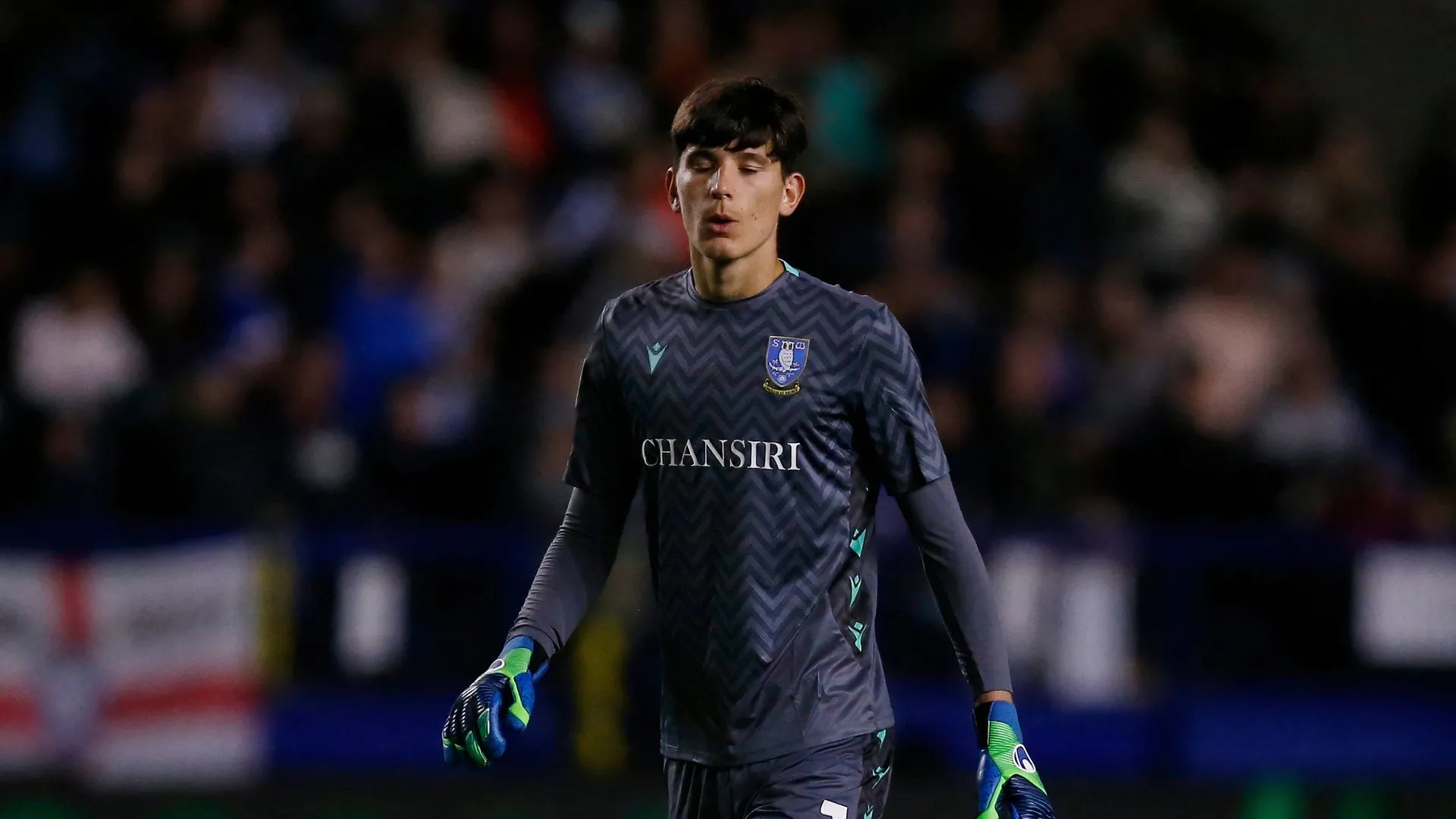 Thủ môn James Beadle trong màu áo Sheffield Wednesday tại Championship
