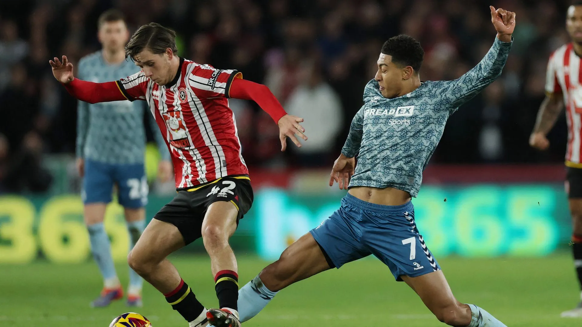 Tiền vệ trẻ Sydie Peck trong màu áo Sheffield United