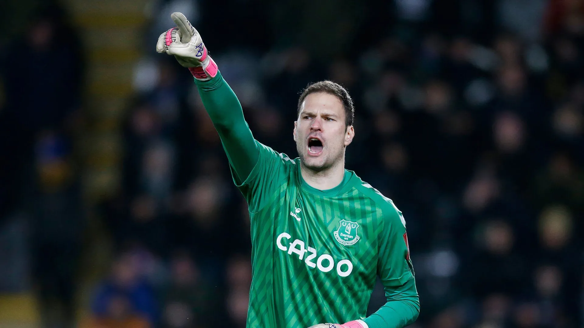 Asmir Begovic, thủ thành giàu kinh nghiệm từng khoác áo Chelsea và Everton