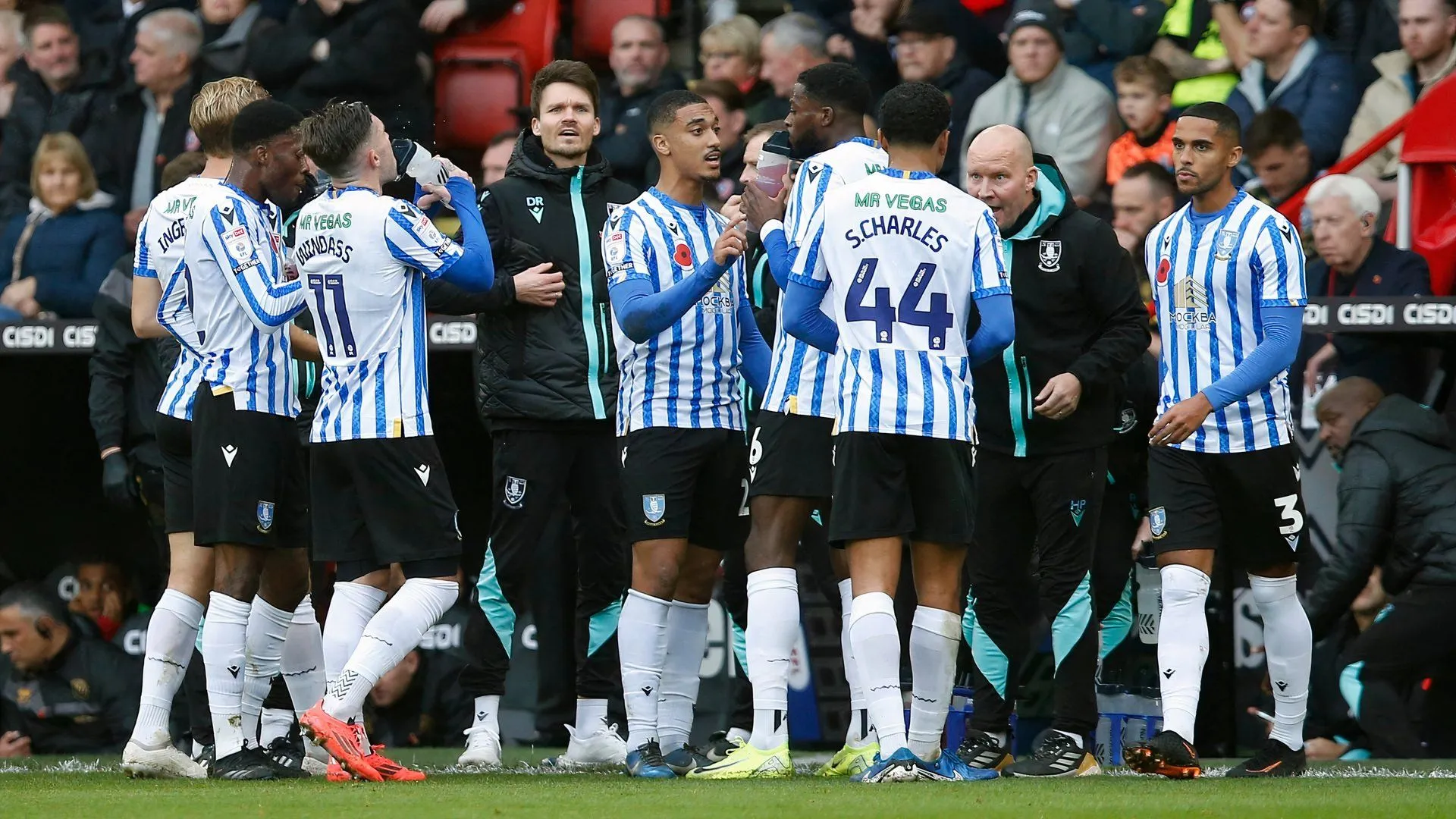 HLV Danny Rohl và các cầu thủ Sheffield Wednesday trước nguy cơ thay đổi đội hình