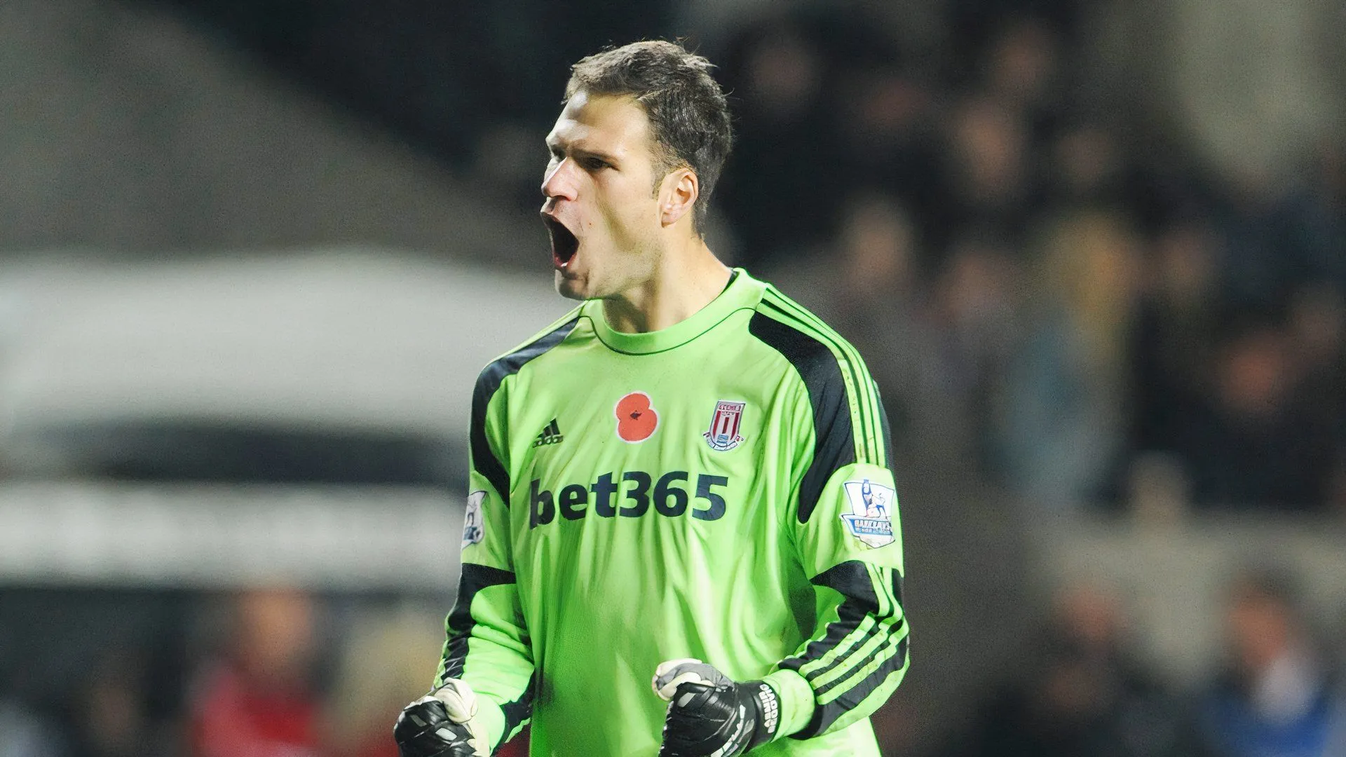 Thủ môn Asmir Begovic trong màu áo Stoke City thời đỉnh cao