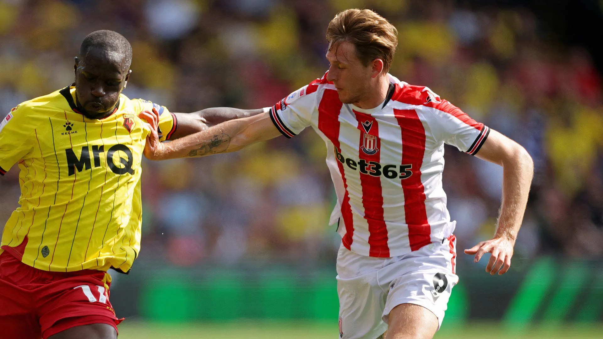Wouter Burger trong màu áo Stoke City trên sân Bet365
