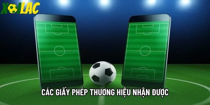 Các giấy phép thương hiệu nhận được Các giấy phép thương hiệu nhận được